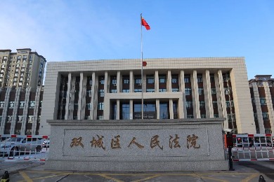 黑龙江省双城区人民法院——人脸识别通道系统