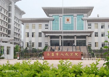 江西省南康市人民法院——豪华翼闸案例